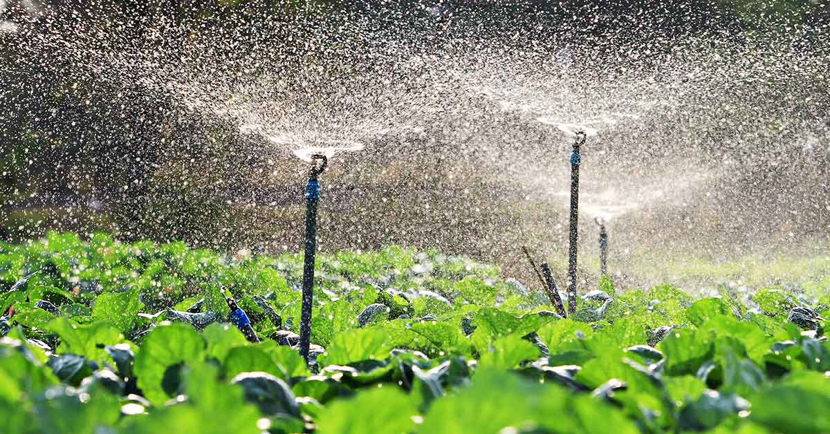 Aplicación agrícola